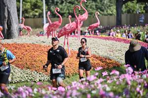 BIB: 
                            <button type="button" onclick="openModal(27793357)" class="btn btn-primary btn-sm float-right btn-popup" data-toggle="modal" data-target=".modal-high-quality">
                        <i class="fas fa-shopping-cart"></i> Add to Cart
                    </button>
                                            <button type="button" onclick="isThisMe(27793357, true)" class="btn btn-success btn-sm float-right btn-popup btn-isme hidden" data-toggle="tooltip" data-placement="bottom" title="นี่คือรูปของคุณใช่ไหม คลิกที่นี่เพื่อเอาเข้าอัลบั้ม">
                        <i class="fas fa-plus"></i> Add to album
                    </button>
                    <button type="button" onclick="isThisMe(27793357, false)" class="btn btn-warning btn-sm float-right btn-popup btn-isnotme hidden">
                        <i class="fas fa-ban"></i> Remove from album
                    </button>